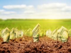 2015 outlook for PE in Indian food and agribusiness sector