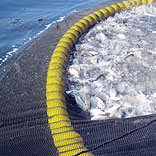 Fish farming made easy!