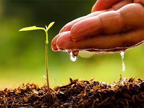 Agri start-ups face policy roadblocks, shortage of funds