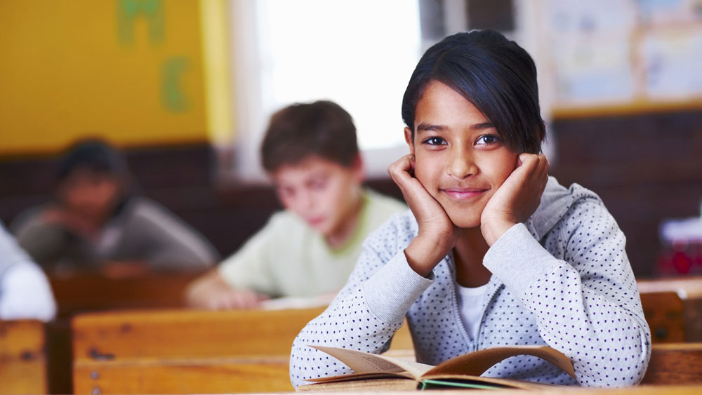 K12 Education Revolution
