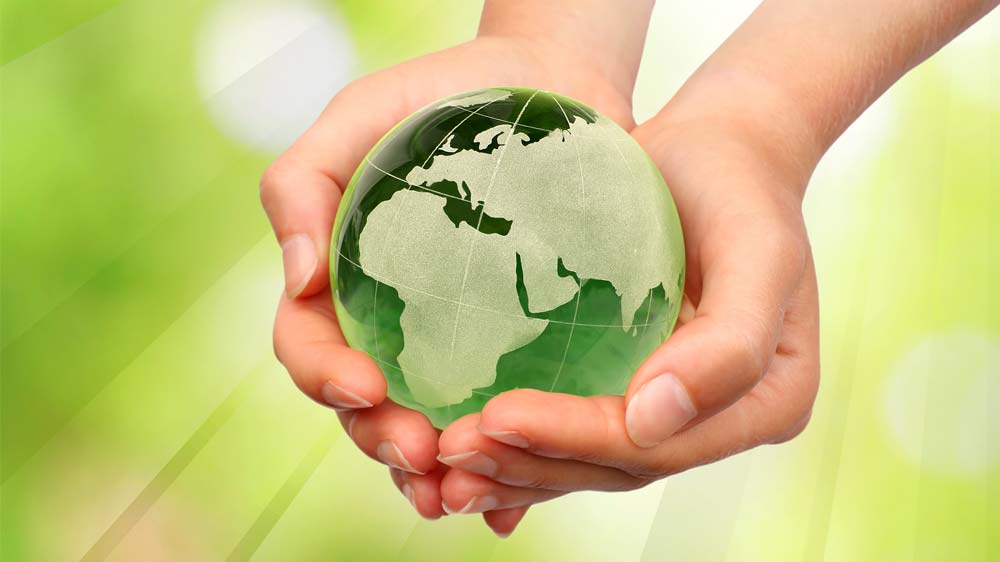 Franchising turns green Franchising turns green