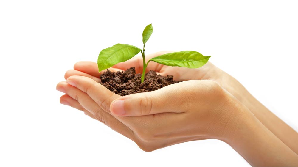 Maximise Profits With Pilot Franchise Maximise Profits With Pilot Franchise