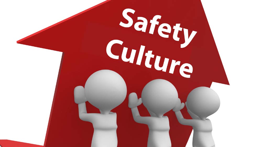 Taste of safety and success