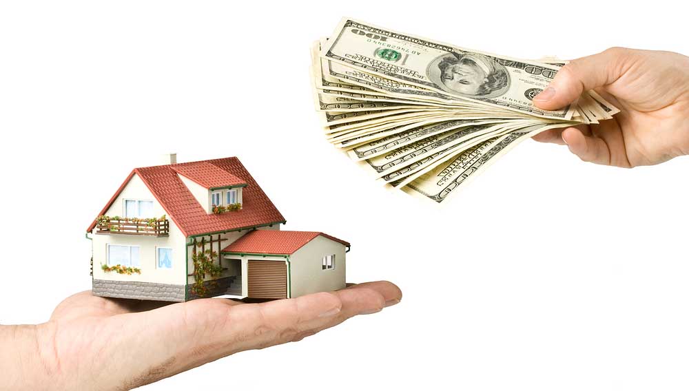 The real biz opportunity for entrepreneurs The real biz opportunity for entrepreneurs