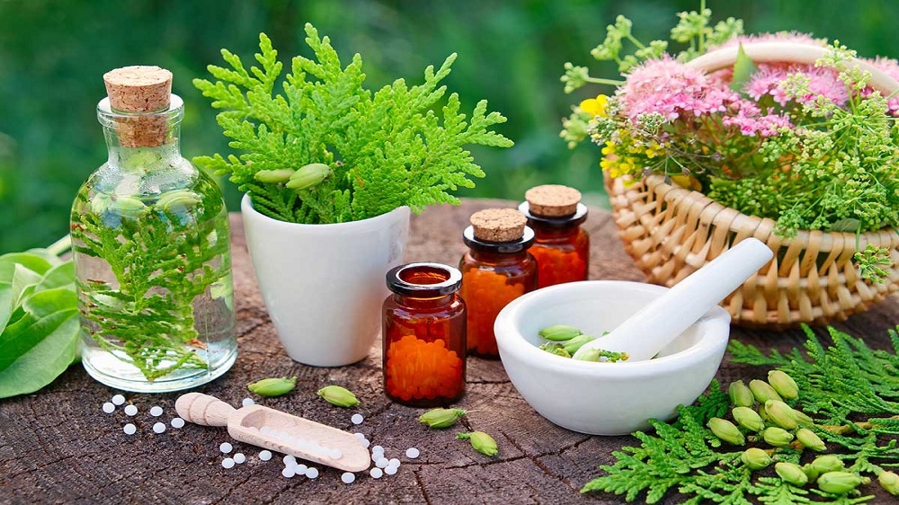 Image result for Naturopathy