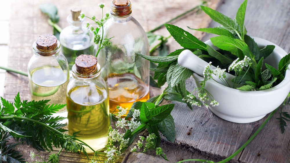 Organic Beauty Products >> Organic Beauty Products In India Organic Beauty Products >> Organic Beauty Products In India