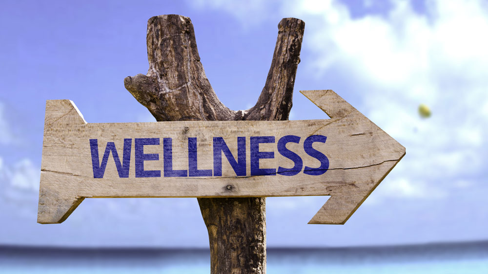 Wellness Industry in India