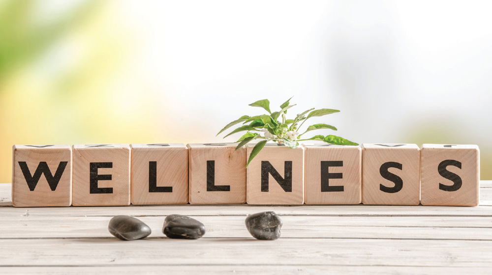 ​Low Cost Business Ideas for Wellness