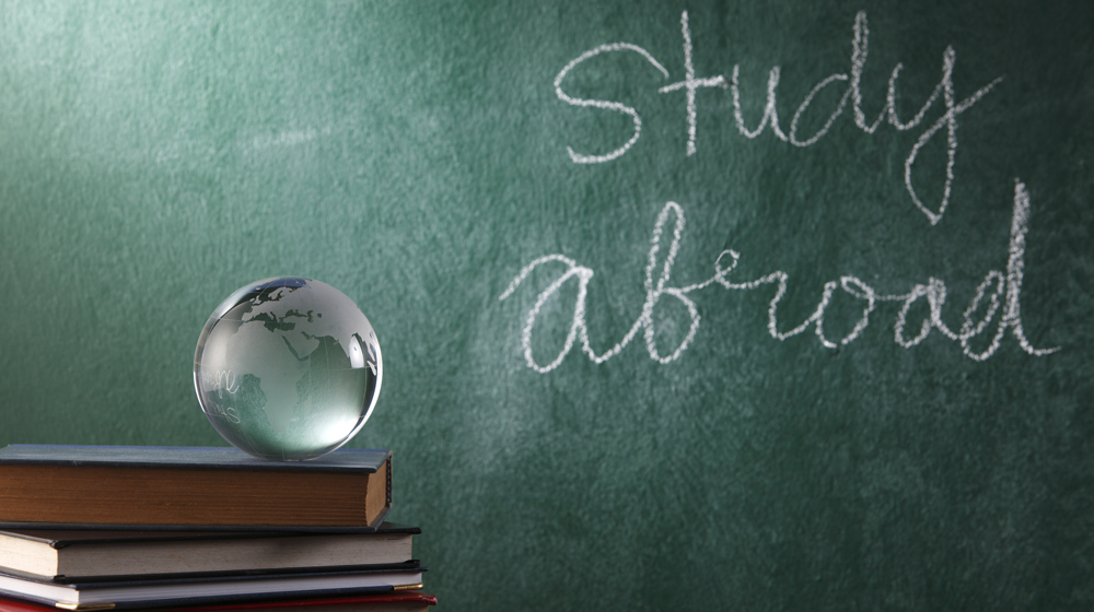 Here are some good enough reasons to invest in Study Abroad Franchise