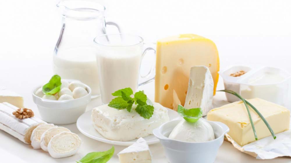 Indian dairy to explore trade