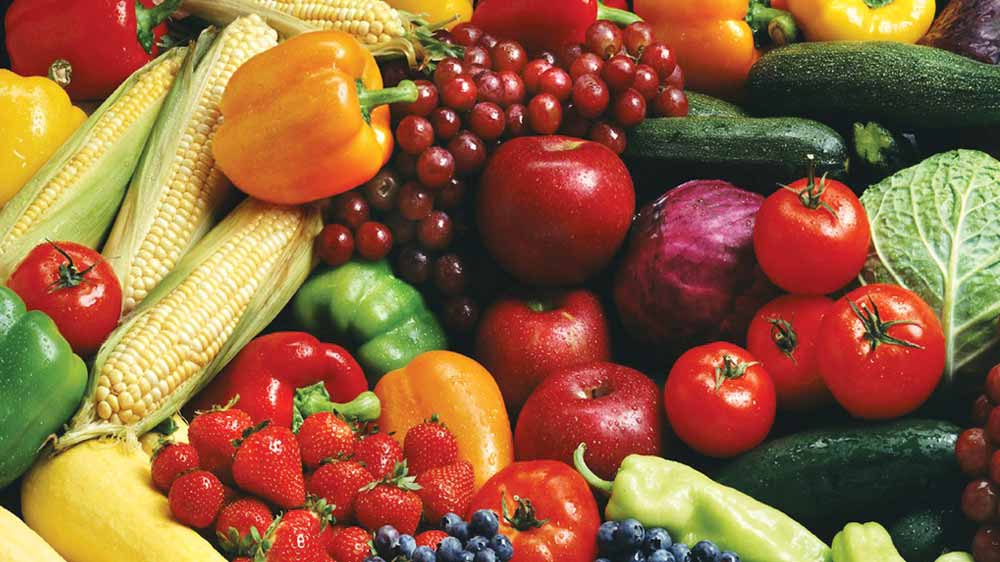 Taiwan, Uttarakhand to work in the field of food processing