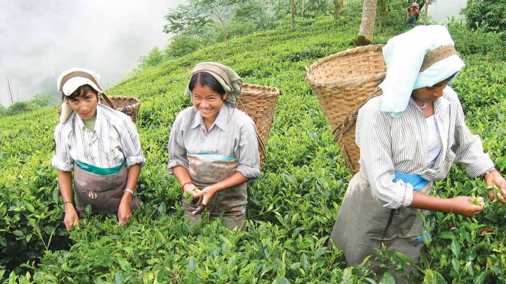 Teabox raises fund