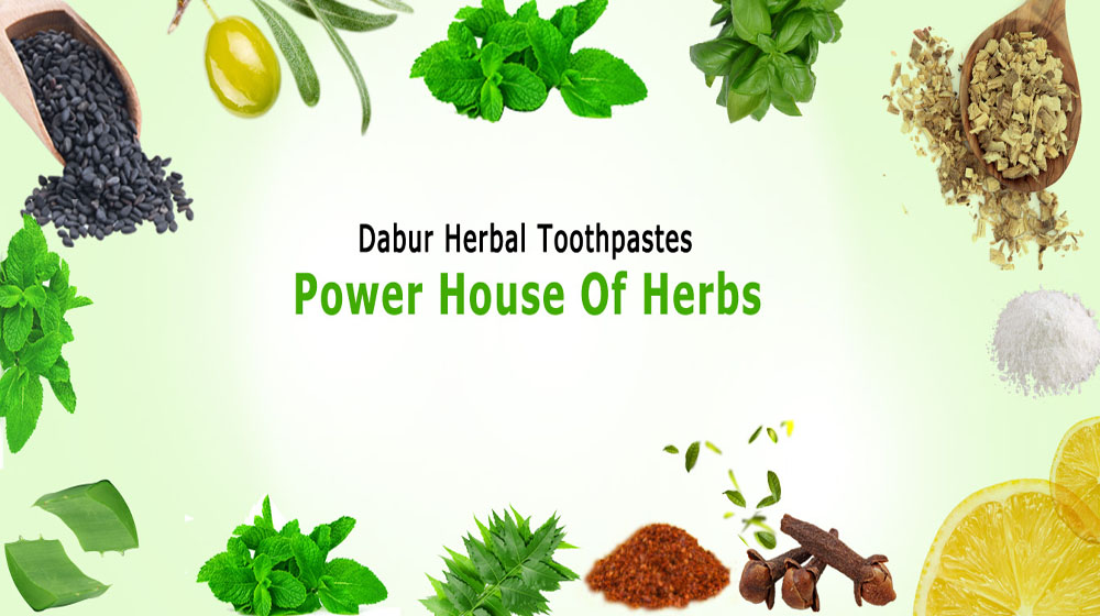 Herbal revolution benefits home-grown toothpaste companies