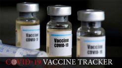 It Is Not Vaccines That Will Stop The Pa