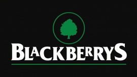 Blackberrys targets tier II cities for expansion Blackberrys targets tier II cities for expansion
