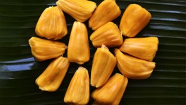 Mother Dairy's Safal launches frozen jackfruit; eyes Rs 12 cr revenue Mother Dairy's Safal launches frozen jackfruit; eyes Rs 12 cr revenue