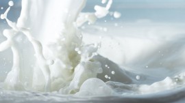 Maharashtra Govt increases milk procurement prices by Rs 3 per litre, retail rates to remain same Maharashtra Govt increases milk procurement prices by Rs 3 per litre, retail rates to remain same