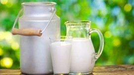 GEA to setup largest milk production facility in Gujarat GEA to setup largest milk production facility in Gujarat