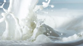 Schreiber Dynamix aims to become USD500 million company by 2021 Schreiber Dynamix aims to become USD500 million company by 2021