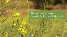 Mrida to empower rural farmers and village folks through 'Earthspired' Mrida to empower rural farmers and village folks through 'Earthspired'