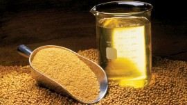 ​Ruchi Soya Industries surges over 17 percent after tying up with Patanjali Ayurveda ​Ruchi Soya Industries surges over 17 percent after tying up with Patanjali Ayurveda