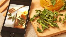 TravelKhana revamps mobile app, activates the offline mode to make food-ordering possible in internet-free zones TravelKhana revamps mobile app, activates the offline mode to make food-ordering possible in internet-free zones