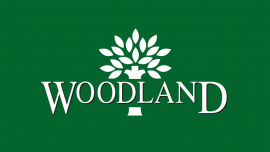 Woodland plans to open franchise stores in Rohtak Woodland plans to open franchise stores in Rohtak